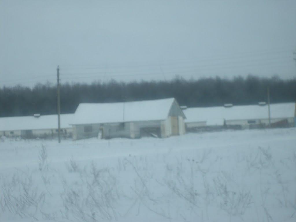 Іванчиці з panoramio.com - Іванчиці