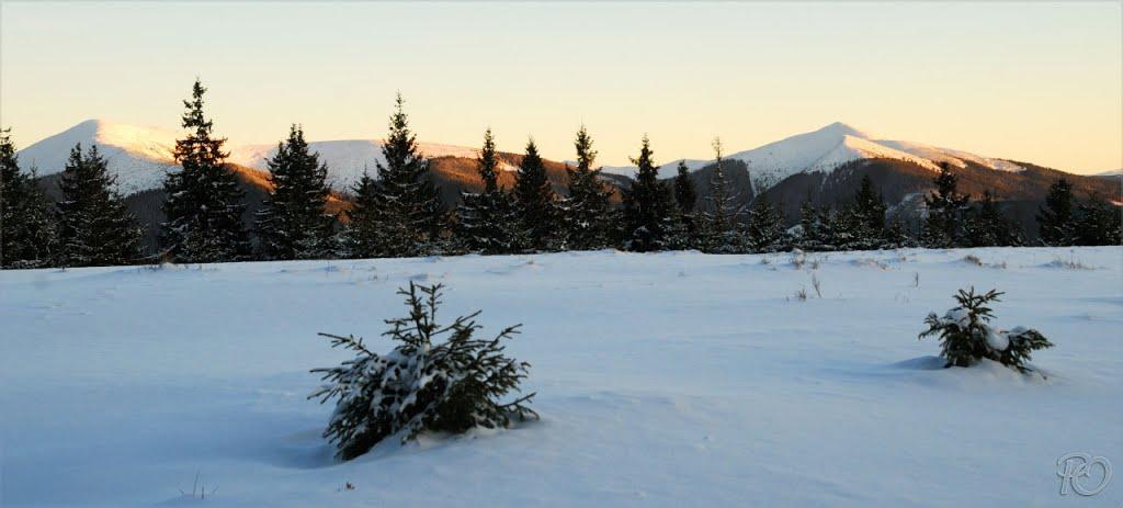 Береги з panoramio.com - Береги