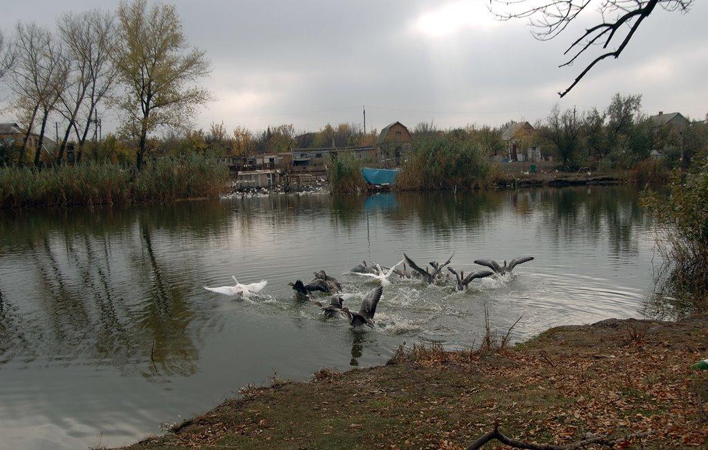 Кремінець з panoramio.com - Кременец