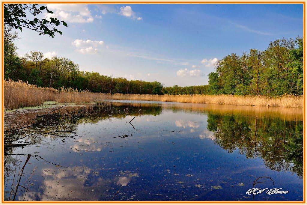 Серебрянка з panoramio.com - Серебрянка