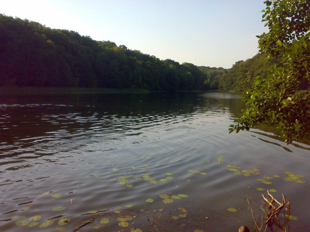 Краснокутськ з panoramio.com - Краснокутск