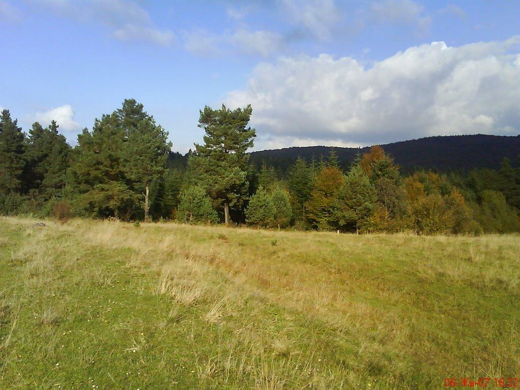 Лопушниця з panoramio.com - Lopushnytsya