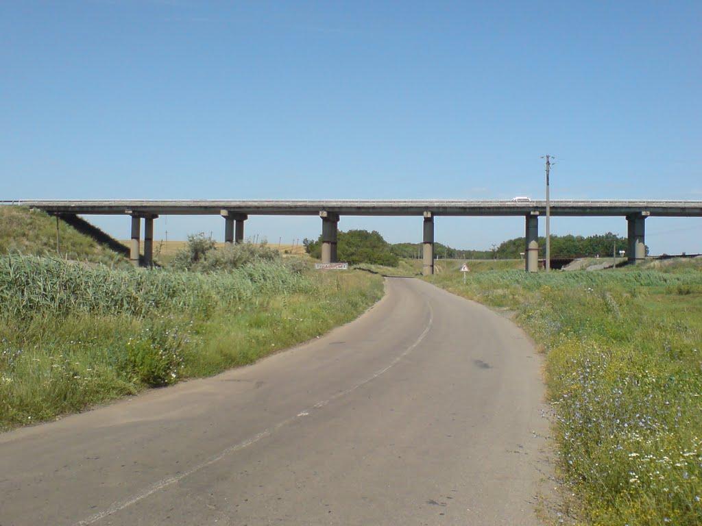 Луначарське з panoramio.com - Азовское