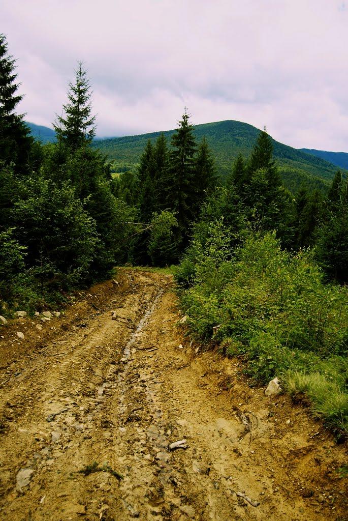 Гута з panoramio.com - Гута