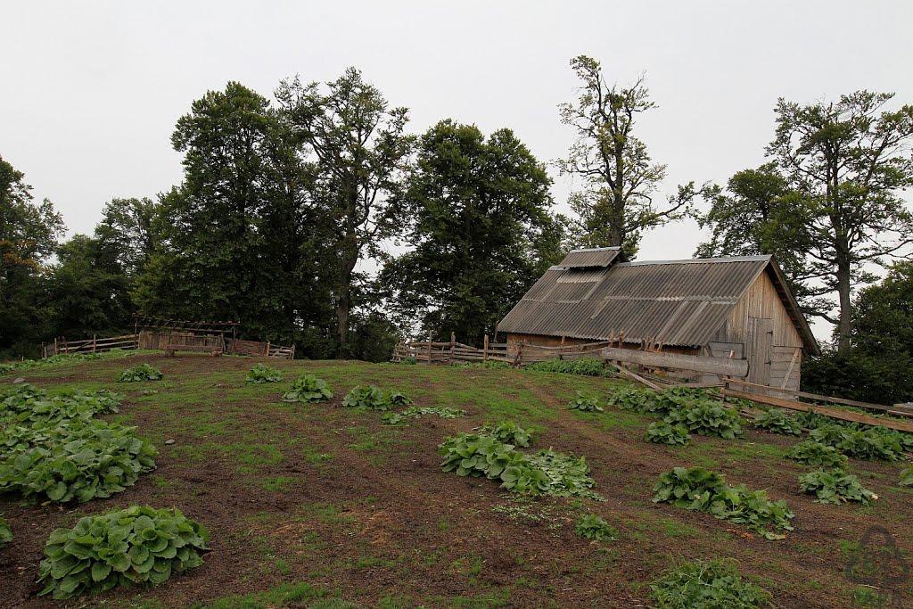 Красна з panoramio.com - Красна