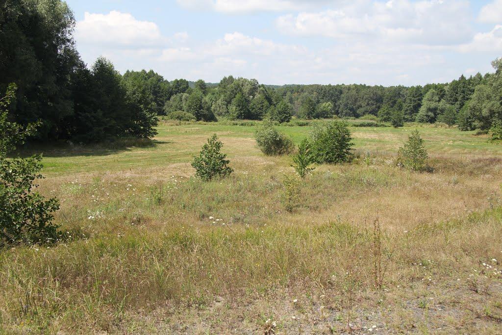 Підозірка з panoramio.com - Підозірка