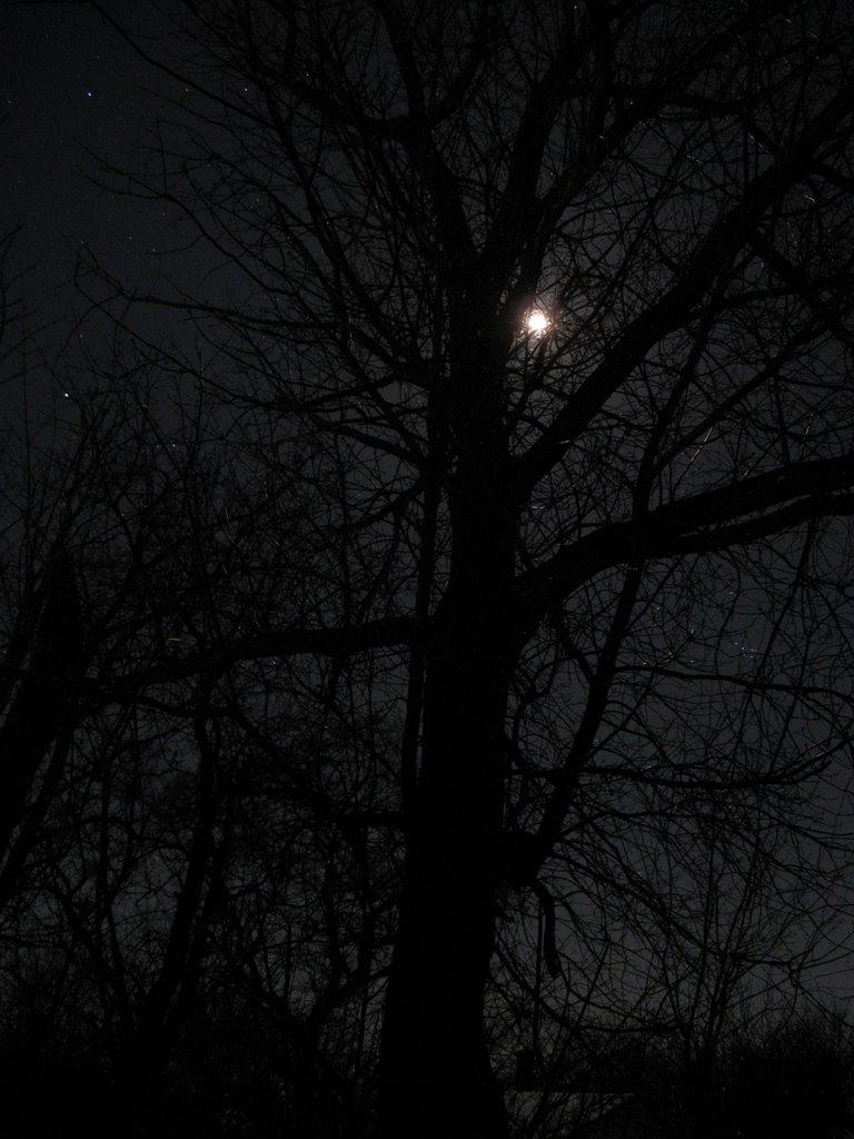 Кобеляки з panoramio.com - Кобеляки