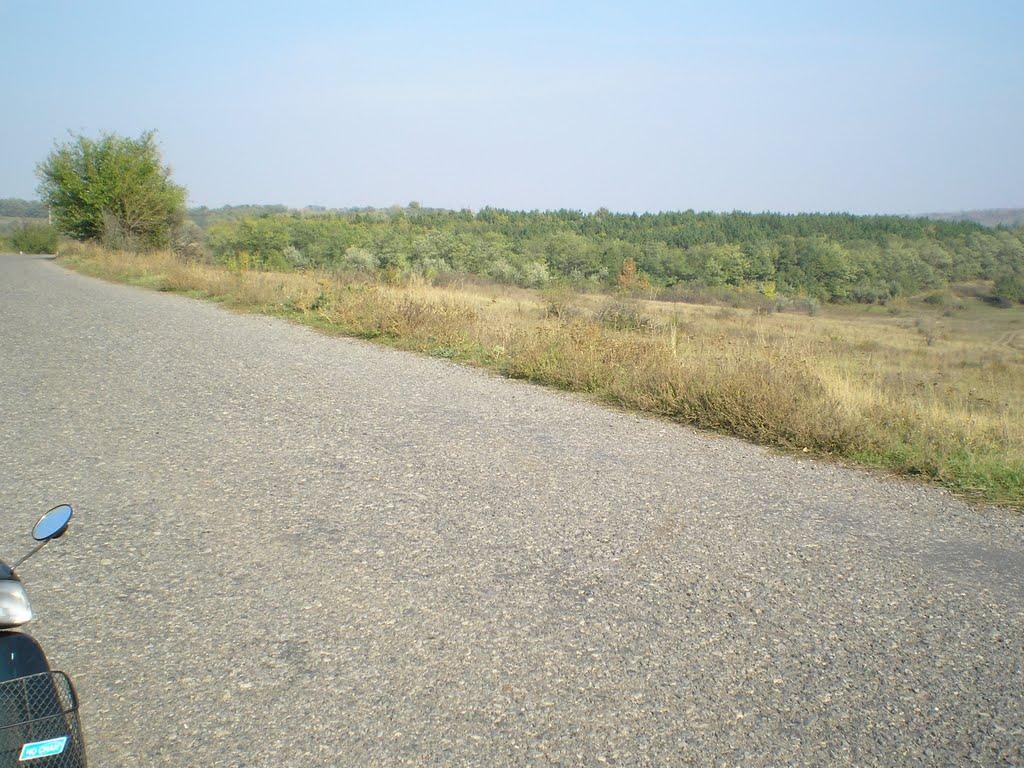 Золотий Колодязь з panoramio.com - Золотой Колодезь