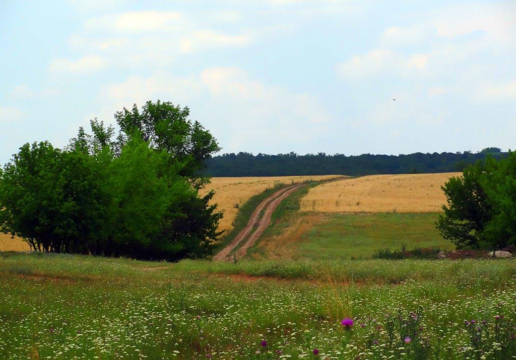 Новобахмутівка з panoramio.com - Новобахмутовка