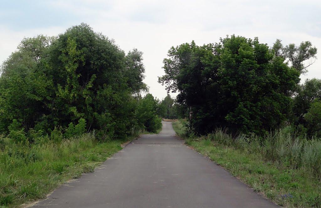 Новобахмутівка з panoramio.com - Новобахмутівка