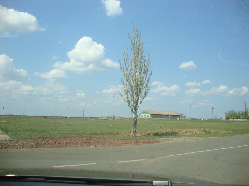 Сірогози з panoramio.com - Сірогози