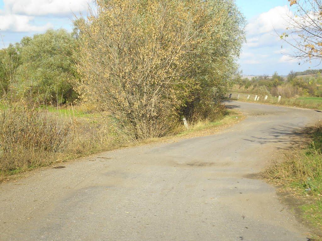 Золотий Колодязь з panoramio.com - Золотой Колодезь