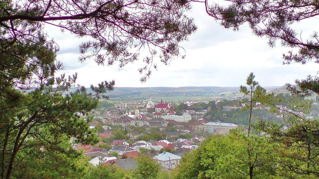 Бережани з panoramio.com - Бережаны