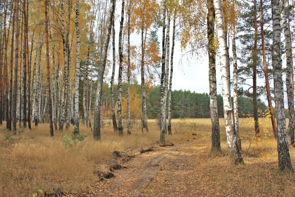 Бурімка з panoramio.com - Бурімка