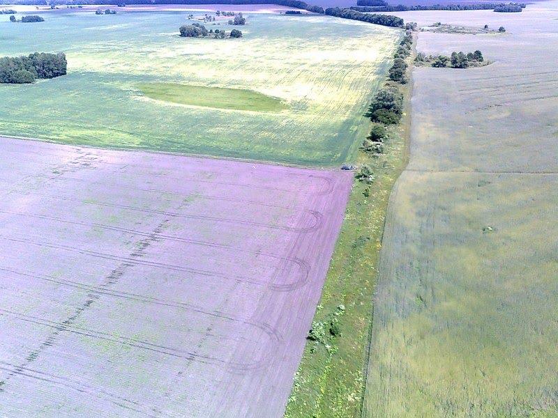 Великий Вистороп з panoramio.com - Великий Вистороп