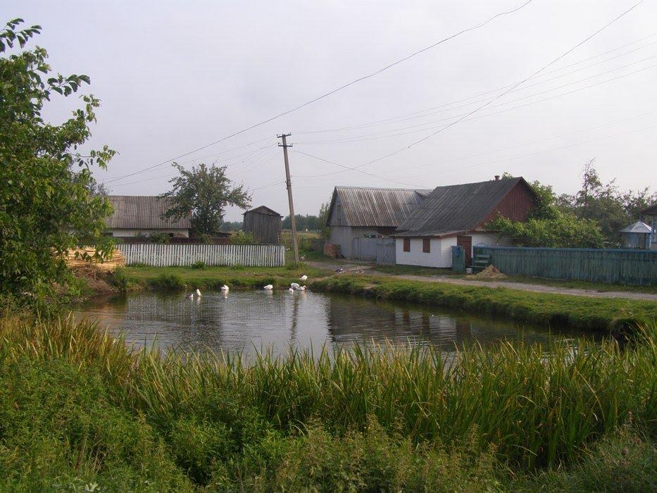 Дубрівка з panoramio.com - Дубрівка