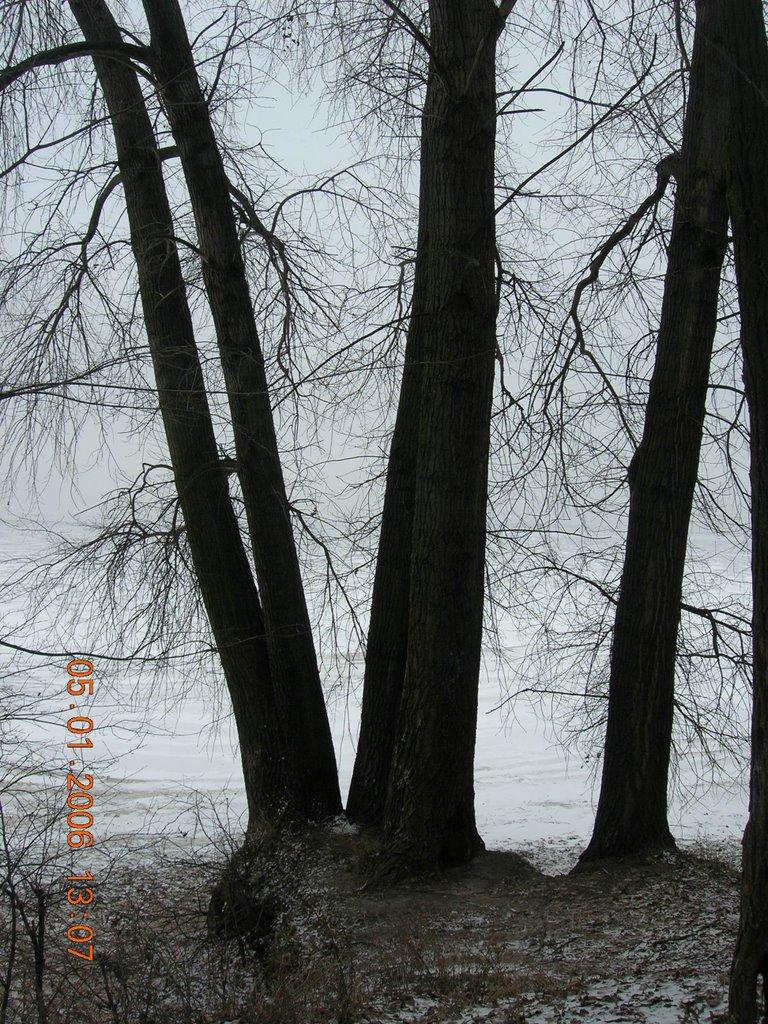 Жовнине з panoramio.com - Жовнине