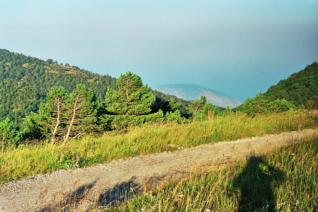 Совєтське з panoramio.com (ч.2) - Советское