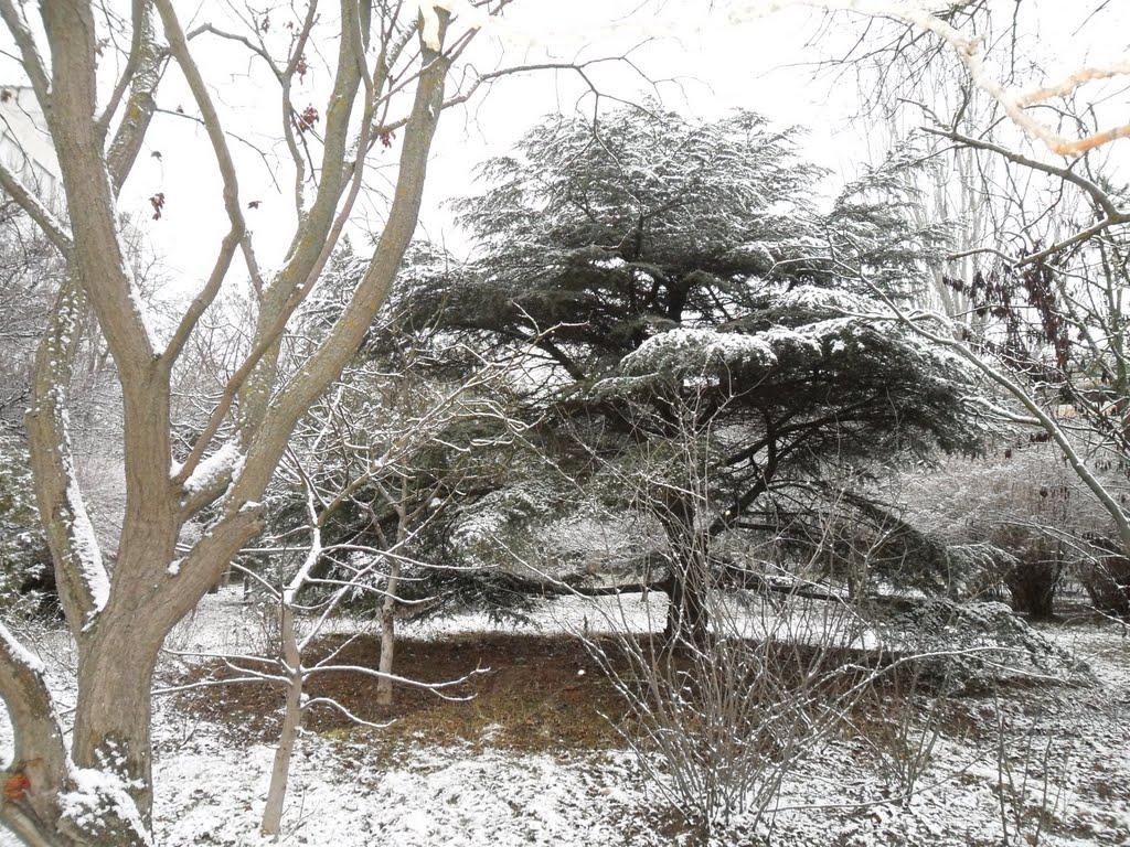 Челядінове з panoramio.com - Челядиново