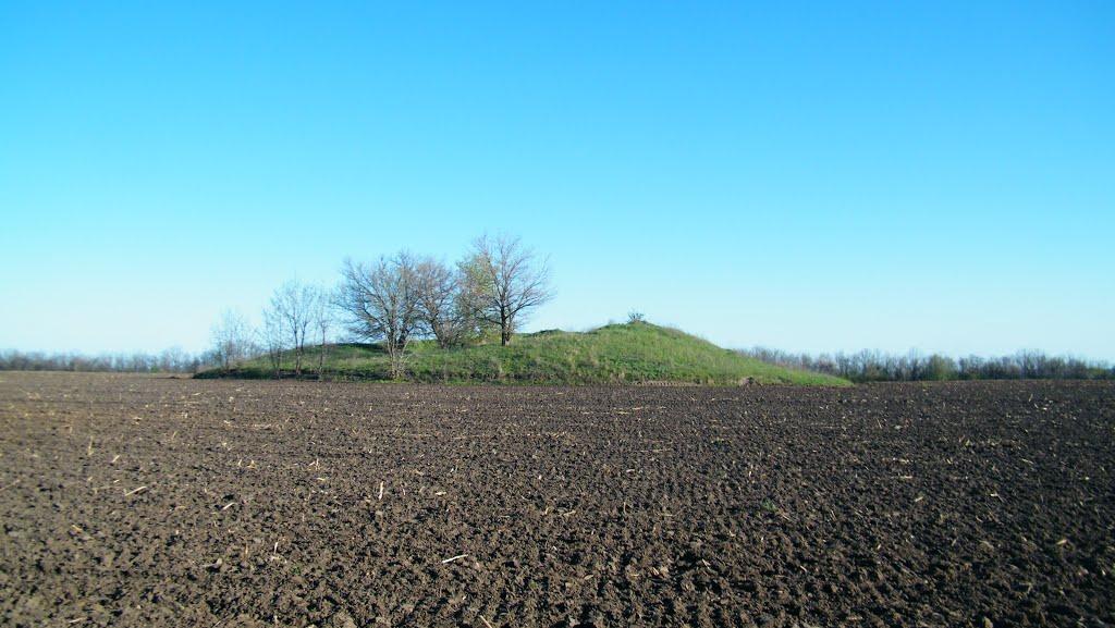 Карпівка з panoramio.com - Карпівка