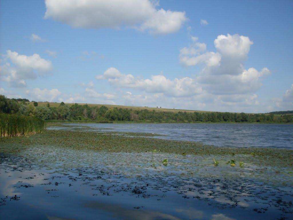 Крутогорб з panoramio.com - Крутогорб