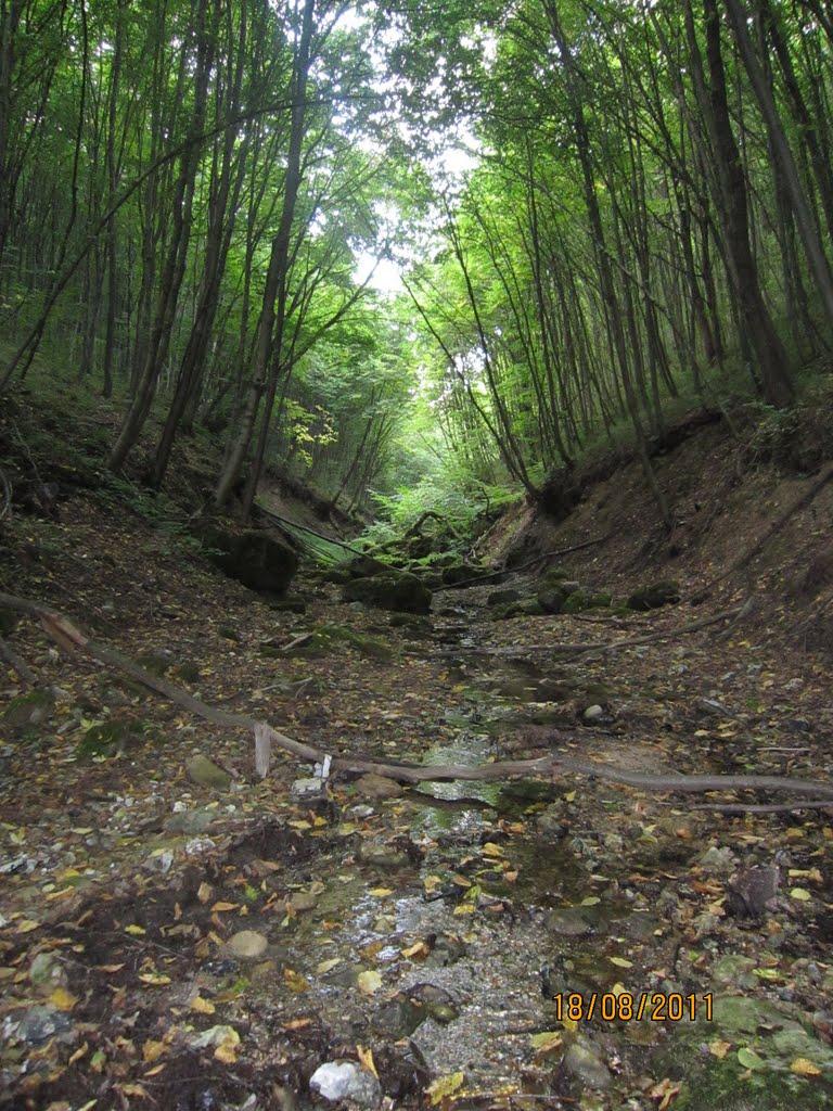 Нова Гута з panoramio.com - Нова Гута