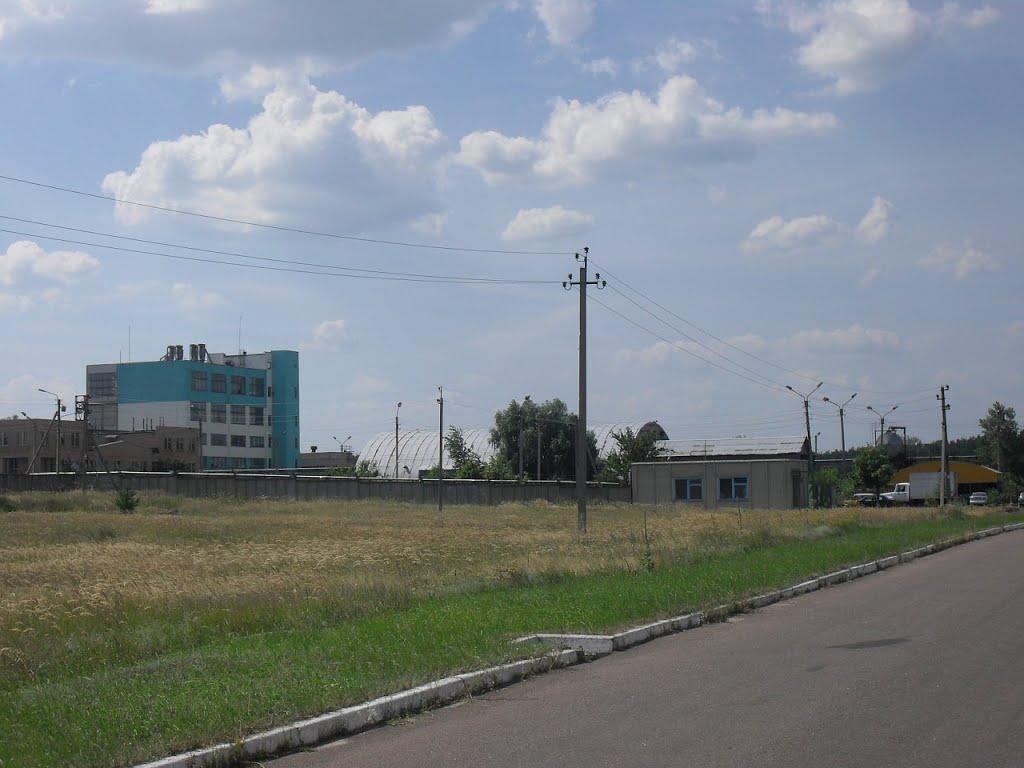 Кремінна з panoramio.com - Кременная
