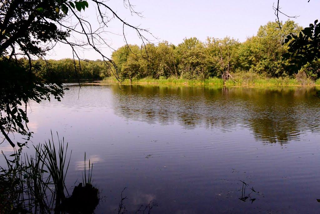 Білогорівка з panoramio.com - Белогоровка