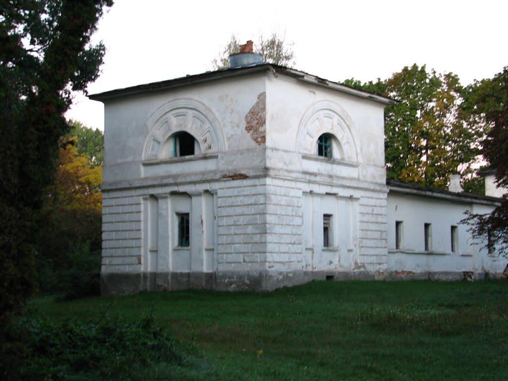 Сокиринці з panoramio.com - Сокиринці