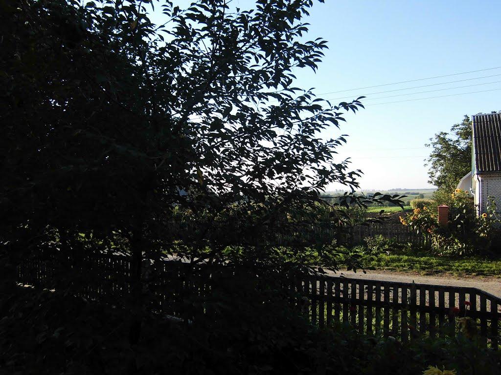 Ганнусине з panoramio.com - Ганнусине