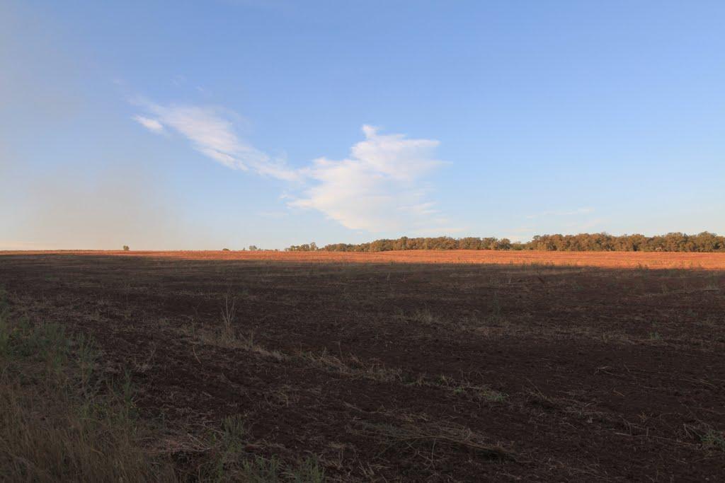 Новобахмутівка з panoramio.com - Новобахмутовка