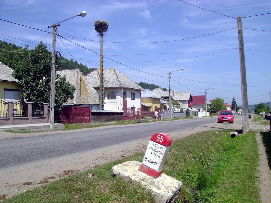 Біла Церква з panoramio.com - Біла Церква