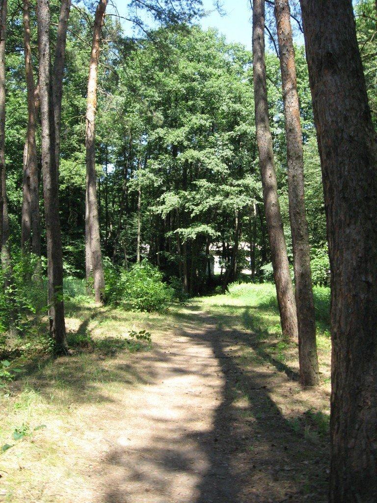 Шипилівка з panoramio.com - Шипилівка