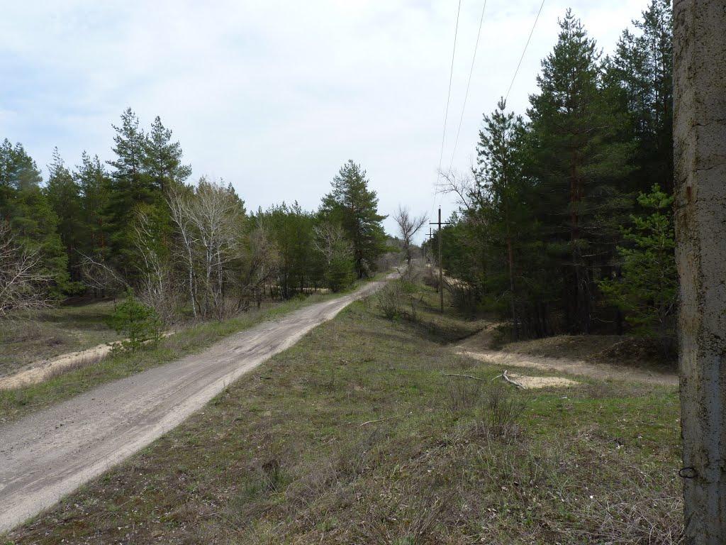 Малинове з panoramio.com - Малиновое