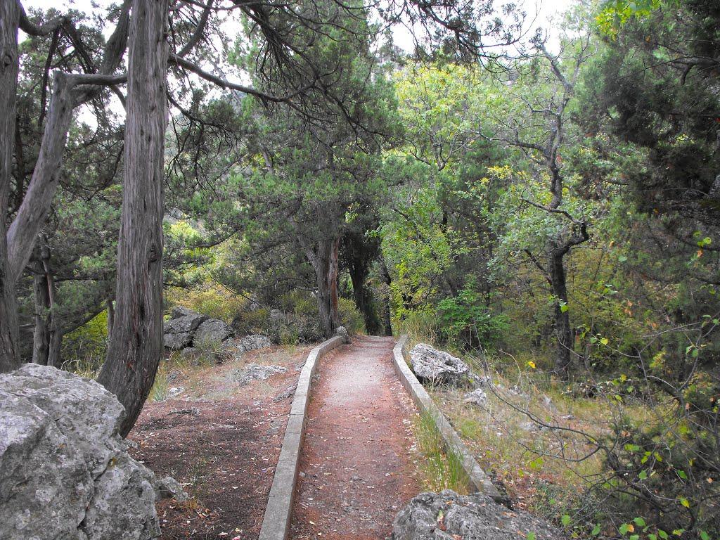 Курпати з panoramio.com - Курпати
