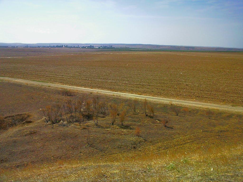 Шевченкове з panoramio.com - Шевченково