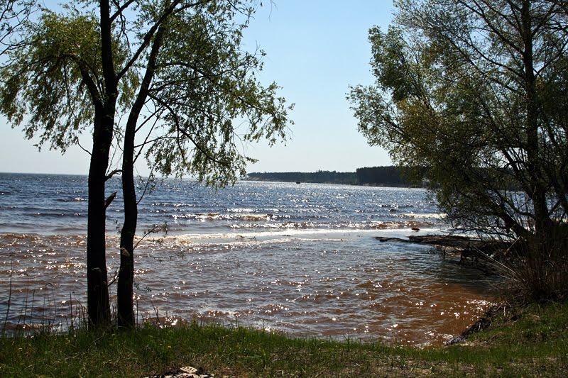 Козаровичі з panoramio.com - Козаровичі