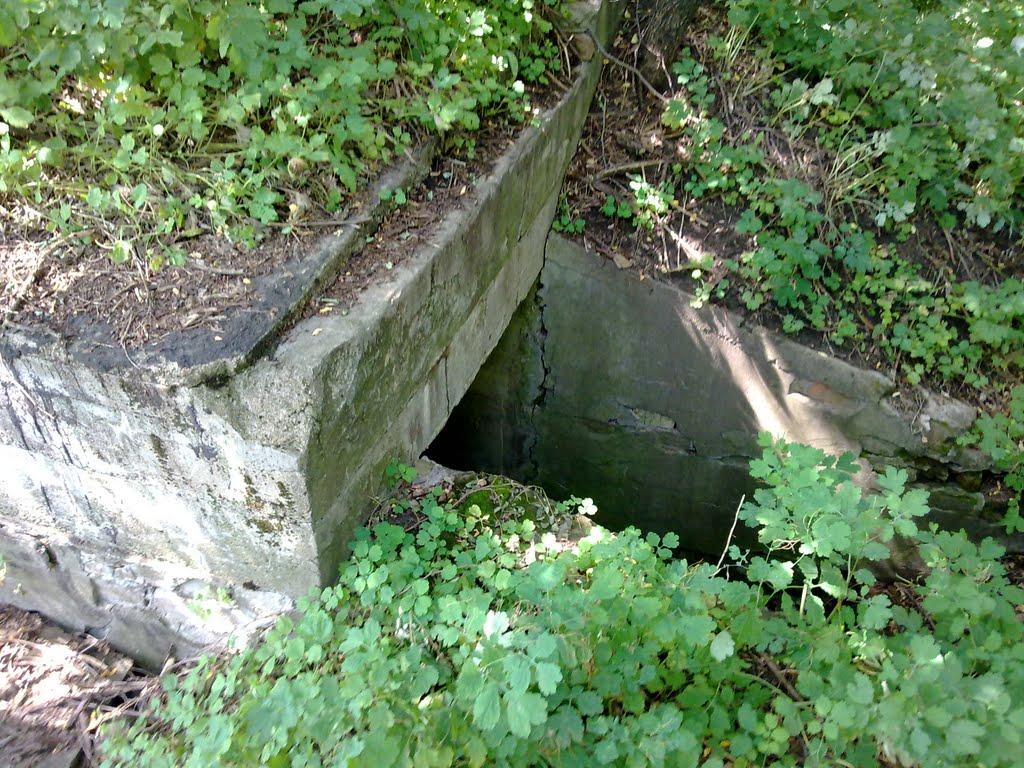 Ракшівка з panoramio.com - Ракшивка