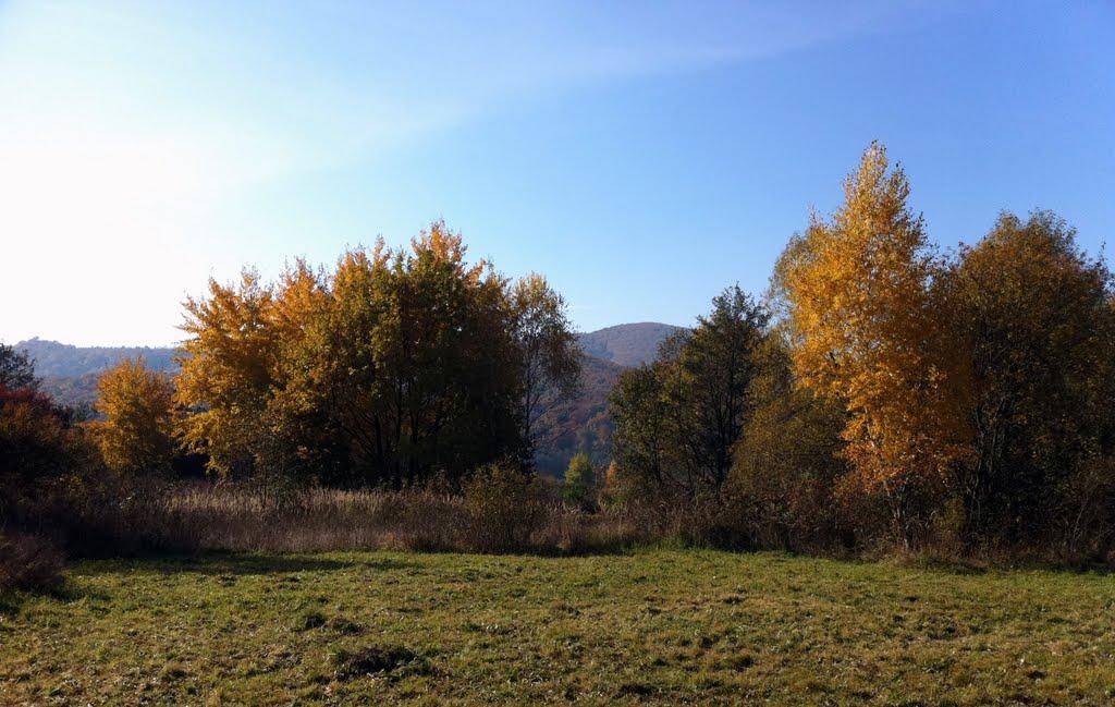 Лісарня з panoramio.com - Лісарня