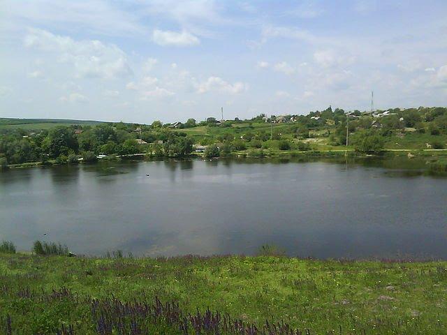 Малаївці з panoramio.com - Малаївці