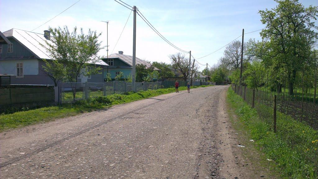 Новиця з panoramio.com - Новиця