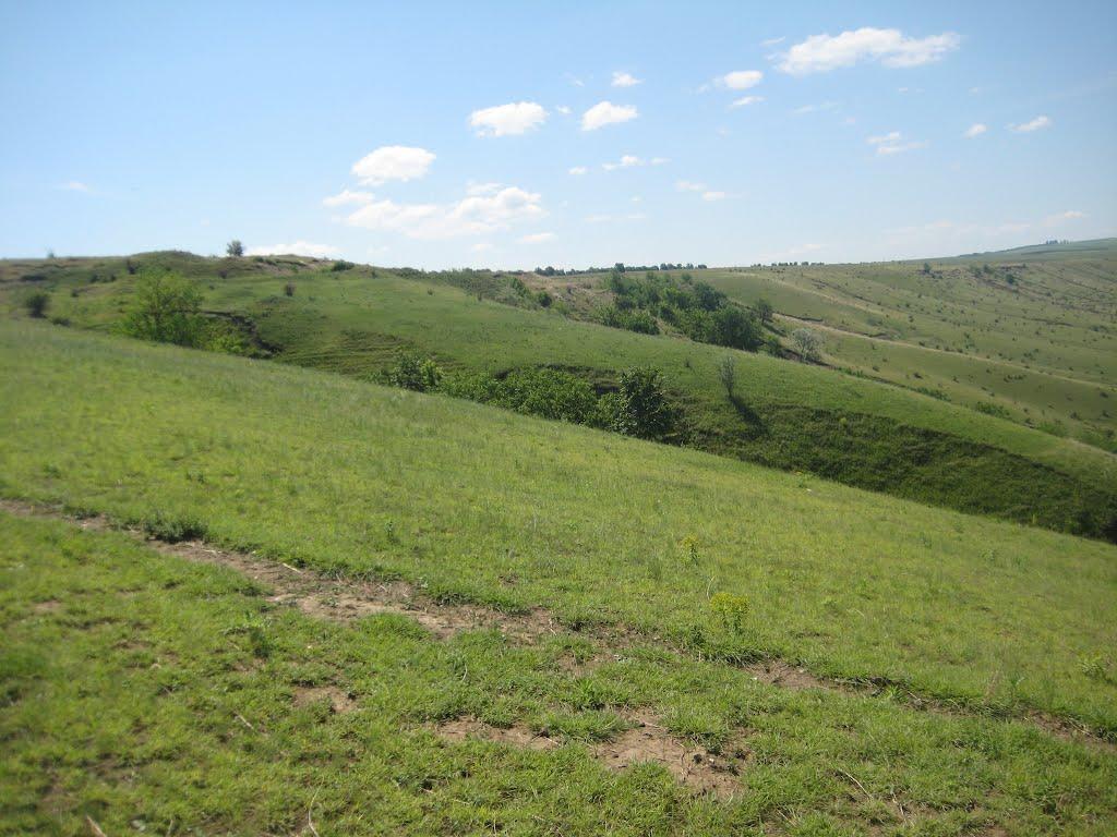 Велика Кісниця з panoramio.com - Велика Кісниця