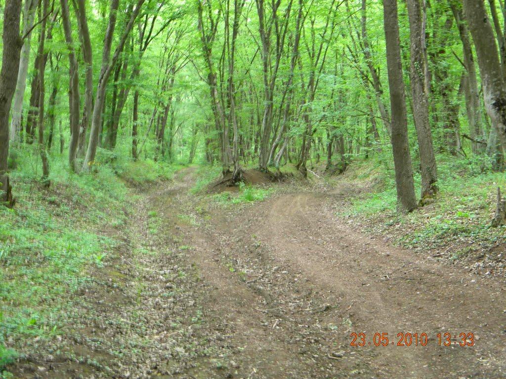 Кизилівка з panoramio.com - Кизилівка