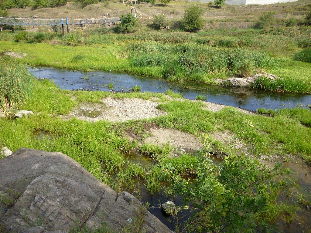 Вільне з panoramio.com - Вольное