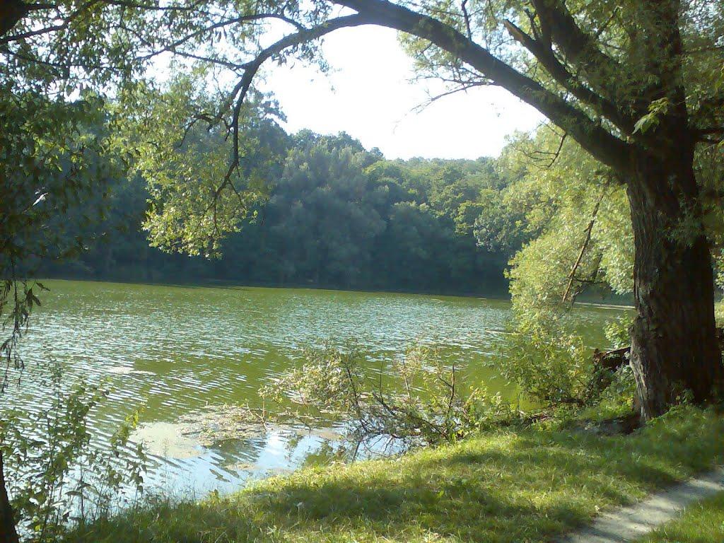 Блищанівка з panoramio.com - Блещановка