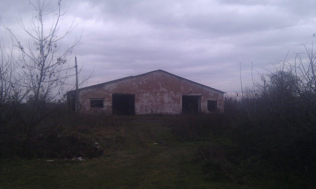 Вільгір з panoramio.com - Вільгір