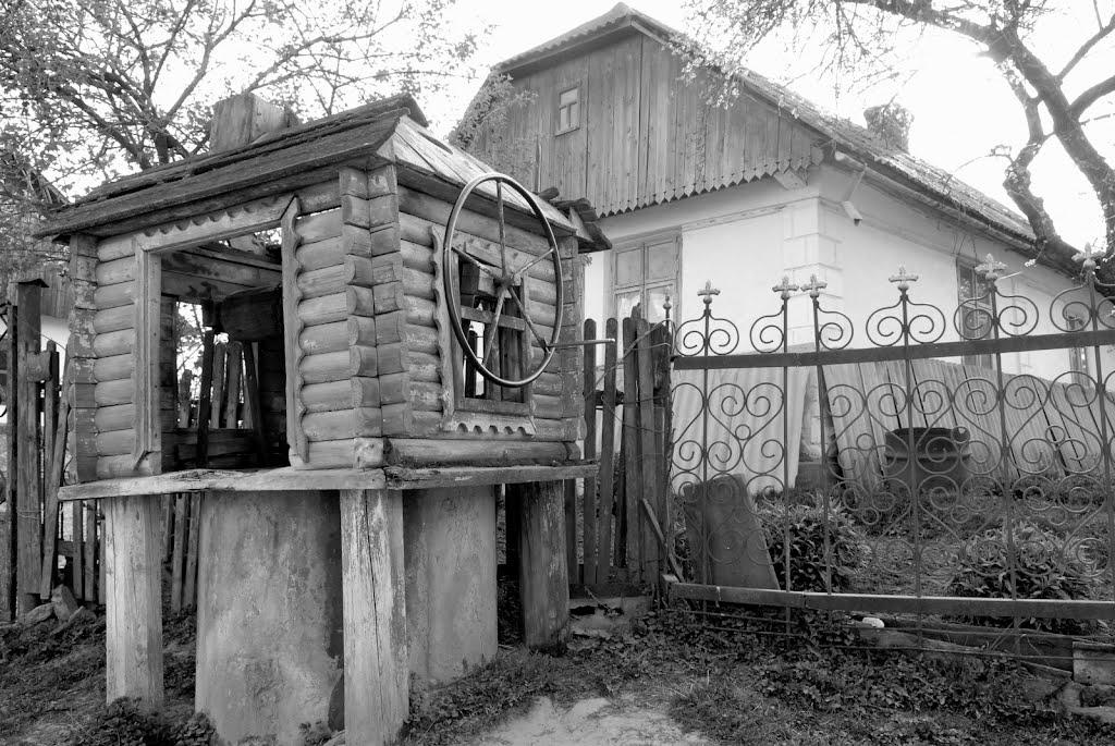 Копичинці з panoramio.com - Копычинцы