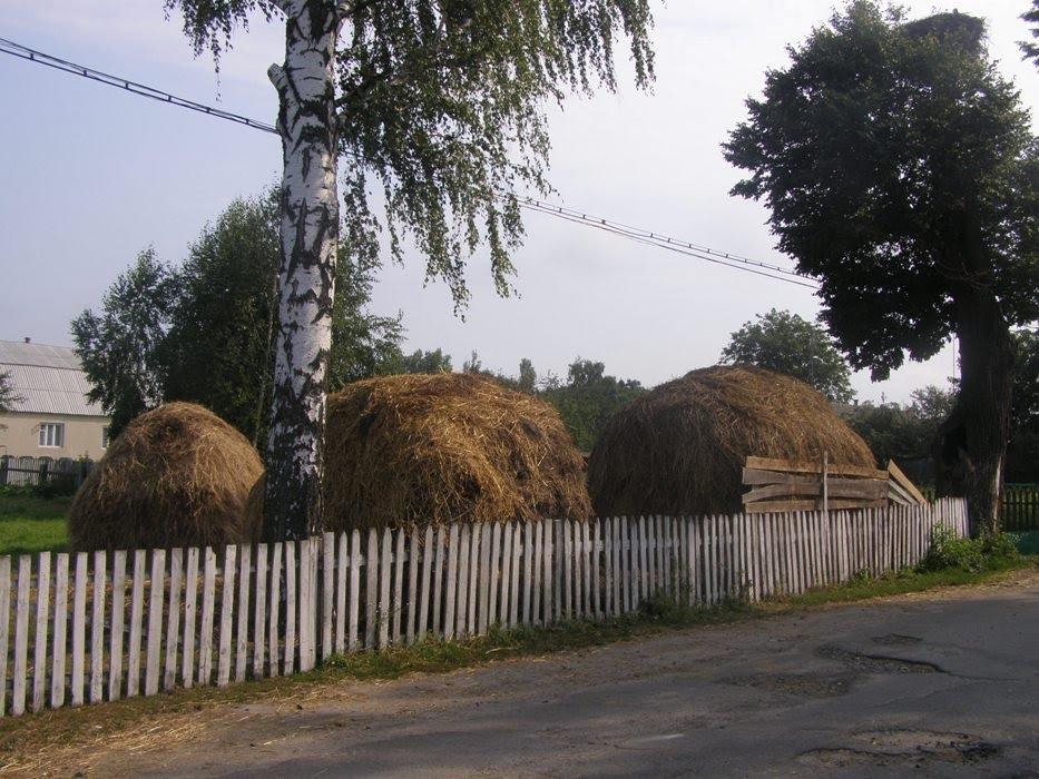 Дубрівка з panoramio.com - Дубрівка