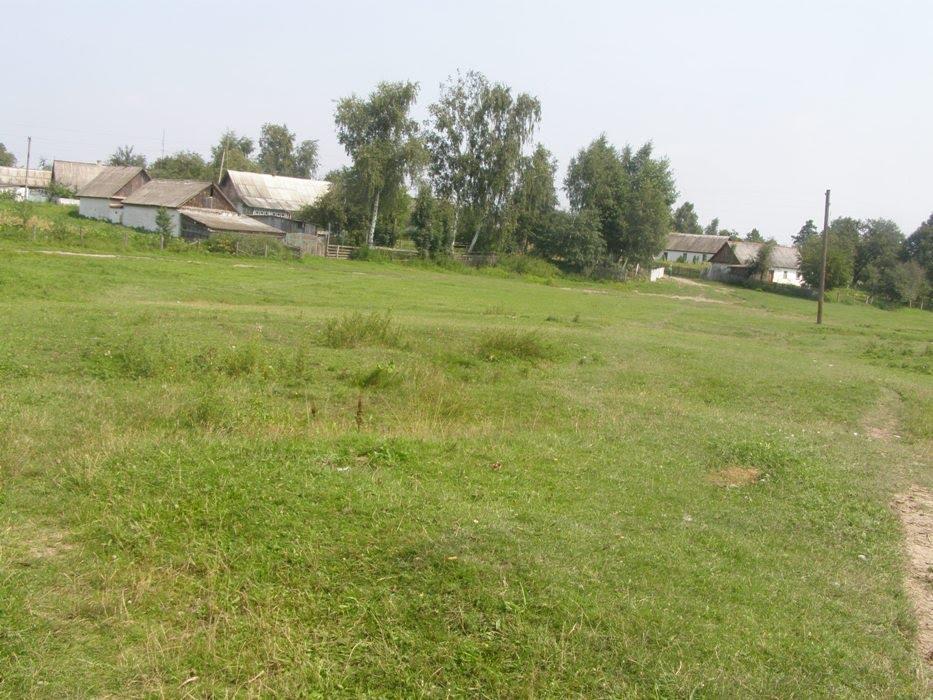 Дубрівка з panoramio.com - Дубрівка