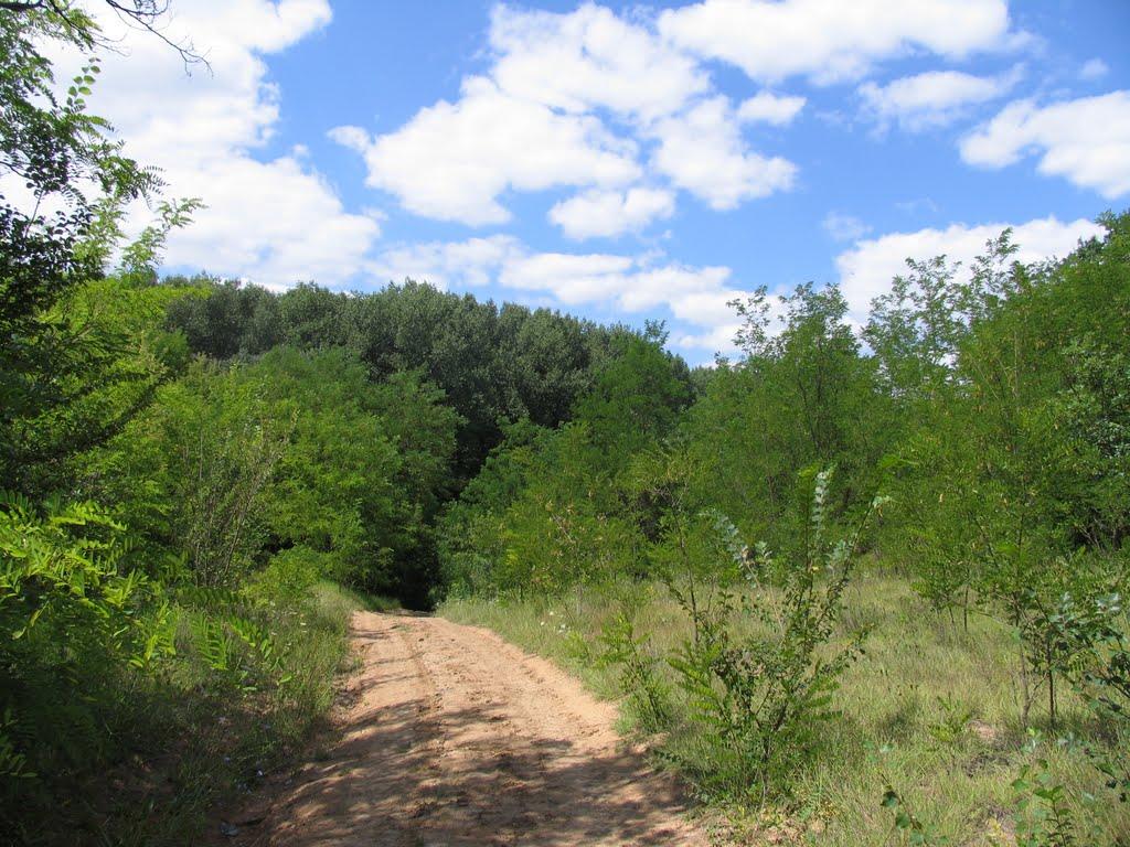 Завітне з panoramio.com - Завітне